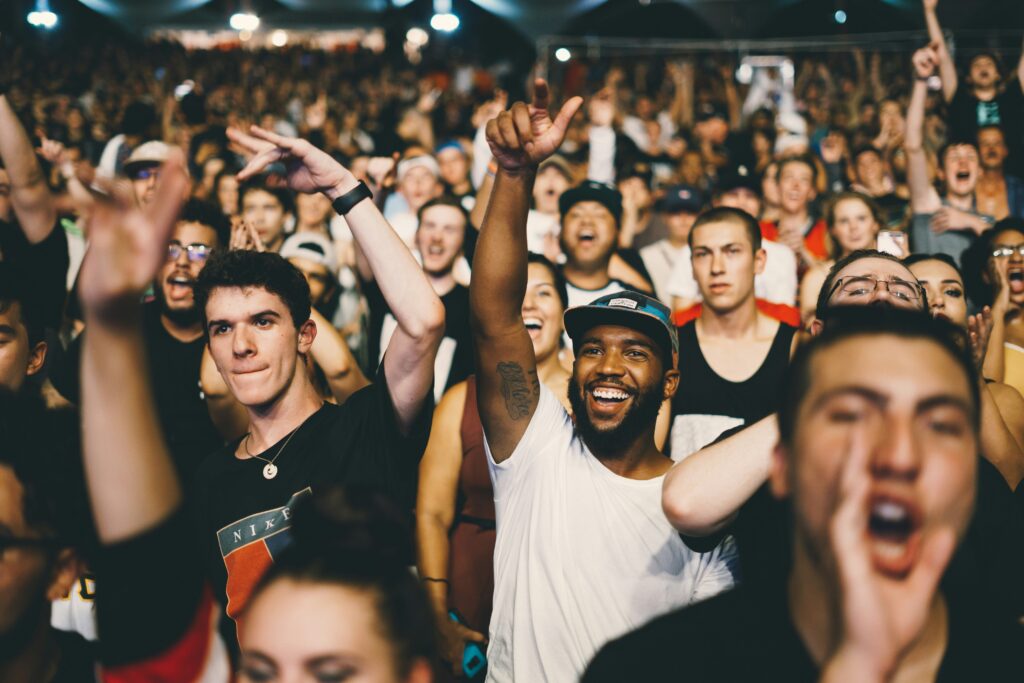 music fans at a concert